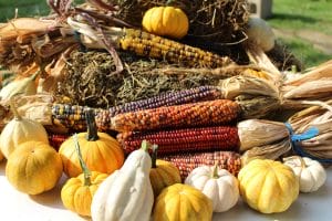 image of gourds and corn | best foods for a food kiosk gallery carts